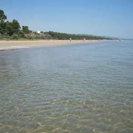 Il Gabbiano